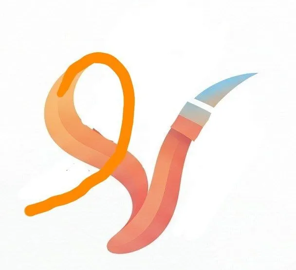 شلوار2